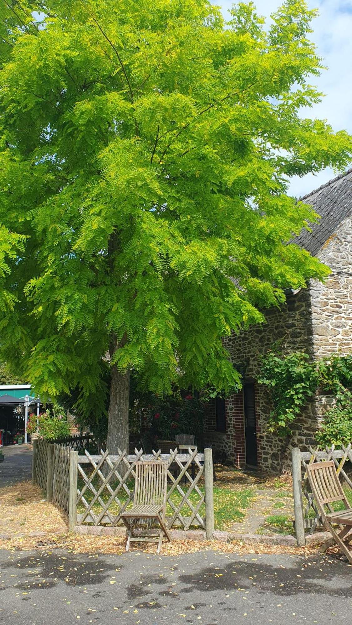 L'Auberge De La Porte Saint-Jouan-des-Guérets Εξωτερικό φωτογραφία